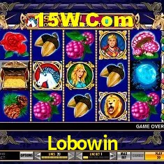 Estatísticas Lobowin