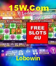 Sistemas de Segurança Lobowin